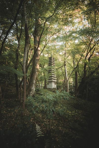 A Shrine in the Woods, Japan