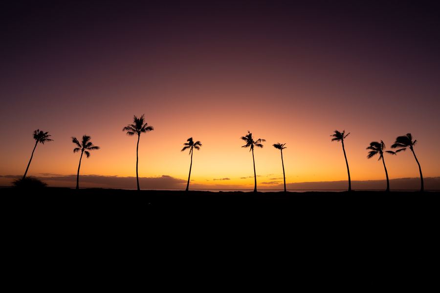 Honolulu Sunset, America