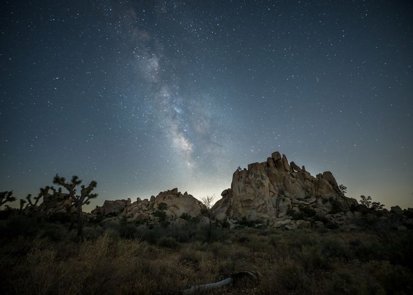 Joshua Tree, America