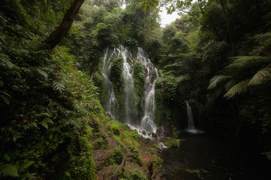 Jungle Falls, South East Asia