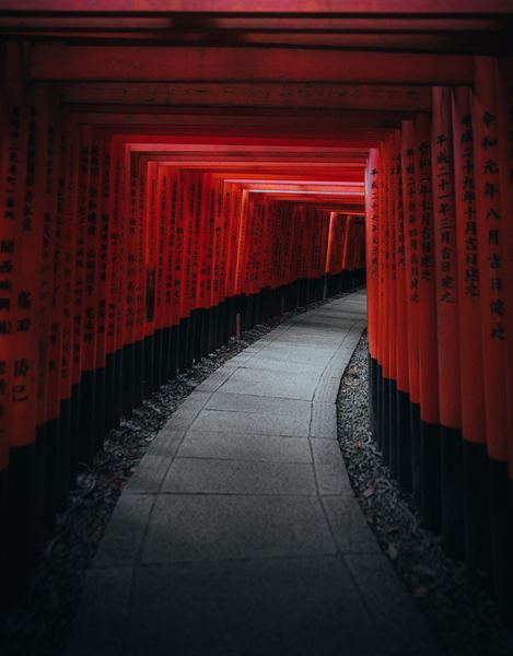 Red Torii Gates, Japan