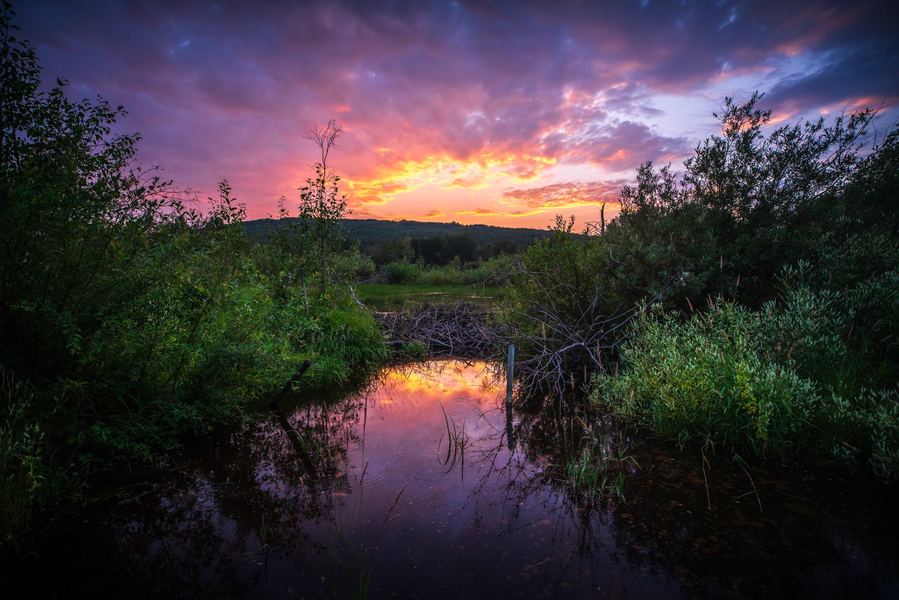 Vibrant Sunset, Peace Region